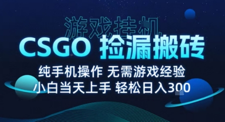 8月最新游戏搬砖，CSGO纯挂G，不需要玩游戏，实现真挂G，月入1W+【揭秘】-pcp资源社