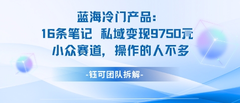 蓝海项目：16条笔记私域变现9750米小众赛道操作的人不多-pcp资源社