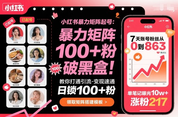小红书暴力矩阵起号，教你打通引流-变现速通，日锁100+粉，破流量黑盒-pcp资源社